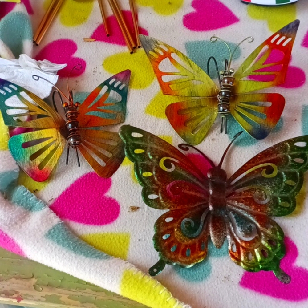 Butterfly's decorations